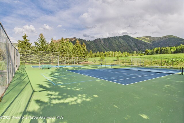 593 Meadowood Dr, Aspen, CO 81611 - photo 39