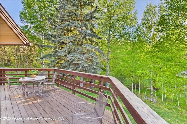 593 Meadowood Dr, Aspen, CO 81611 - photo 13