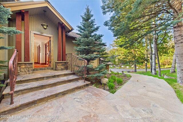 593 Meadowood Dr, Aspen, CO 81611 - photo 6