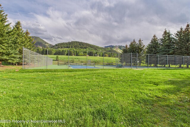593 Meadowood Dr, Aspen, CO 81611 - photo 36