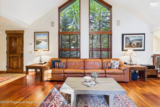 593 Meadowood Dr, Aspen, CO 81611 - photo 1