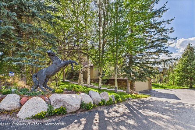 593 Meadowood Dr, Aspen, CO 81611 - photo 16