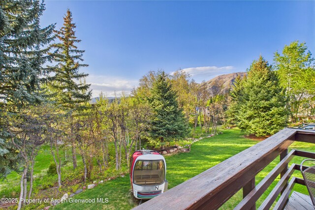 593 Meadowood Dr, Aspen, CO 81611 - photo 12