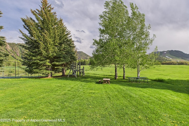 593 Meadowood Dr, Aspen, CO 81611 - photo 34