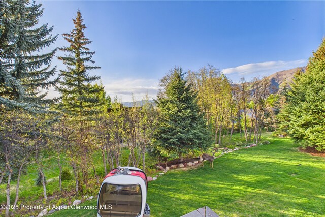 593 Meadowood Dr, Aspen, CO 81611 - photo 14
