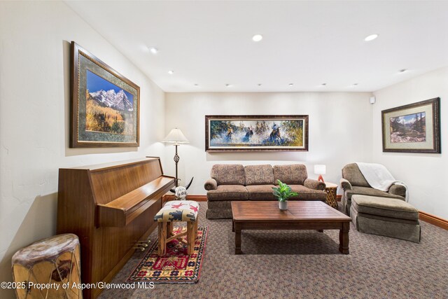 593 Meadowood Dr, Aspen, CO 81611 - photo 29