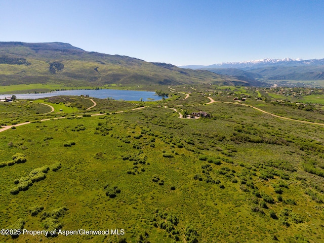 544 Spring Park Rd, Carbondale, CO 81623