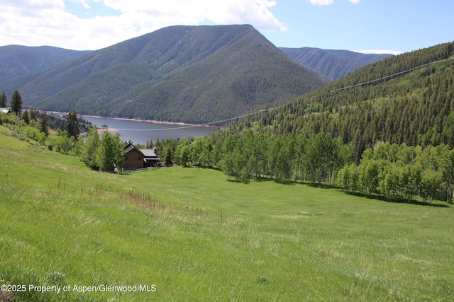 575 Mclaughlin Ln, Basalt, CO 81621