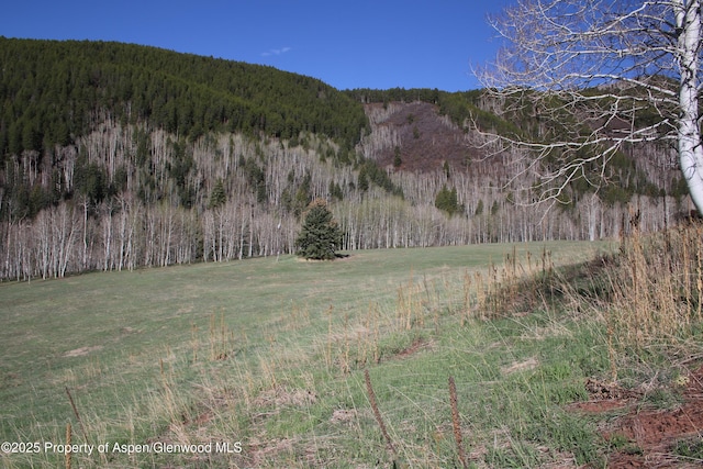 575 Mclaughlin Ln, Basalt, CO 81621