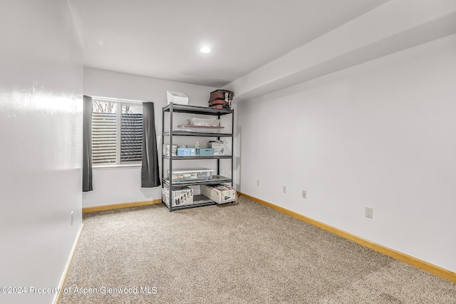 interior space with carpet floors