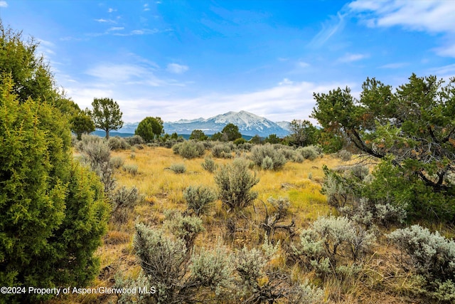 364 Wood Nymph Ln, Glenwood Springs CO, 81601 land for sale