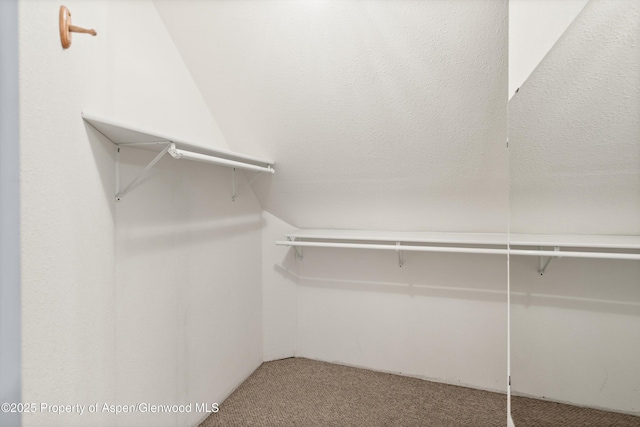 440 Whiteriver Ave, Rifle, CO 81650 - spacious closet with carpet floors