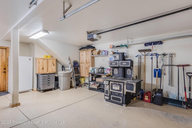 606 Dorais Way, Redstone, CO 81623 - garage featuring a garage door opener
