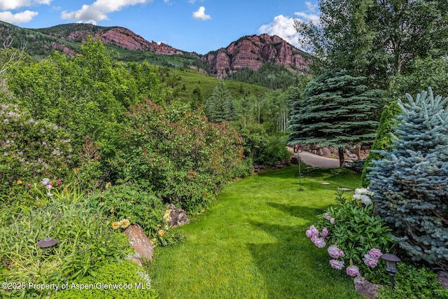 606 Dorais Way, Redstone, CO 81623 - view of green lawn with a mountain view