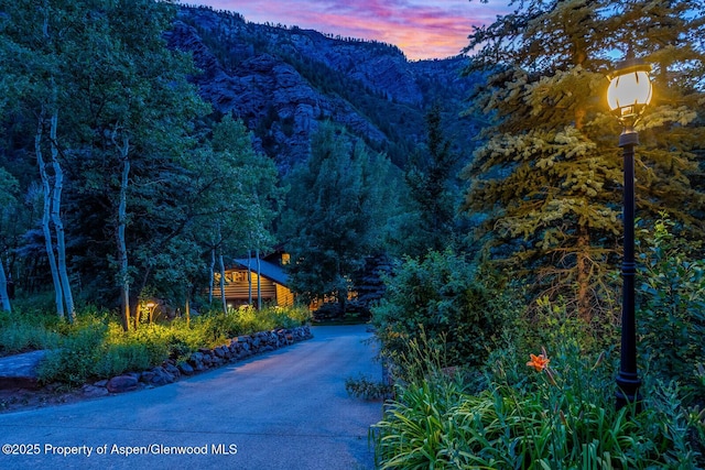606 Dorais Way, Redstone, CO 81623 - view of mountain background with a heavily wooded area