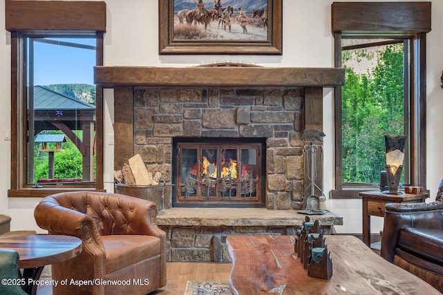 606 Dorais Way, Redstone, CO 81623 - detailed view of wood finished floors and a fireplace