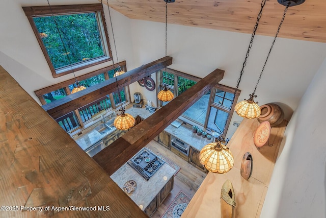 606 Dorais Way, Redstone, CO 81623 - detailed view of wooden ceiling