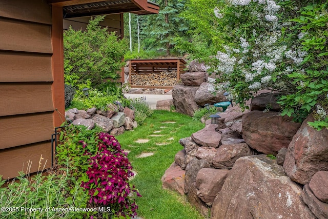 606 Dorais Way, Redstone, CO 81623 - view of yard
