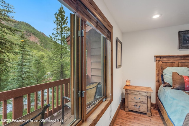 606 Dorais Way, Redstone, CO 81623 - bedroom featuring wood finished floors and recessed lighting