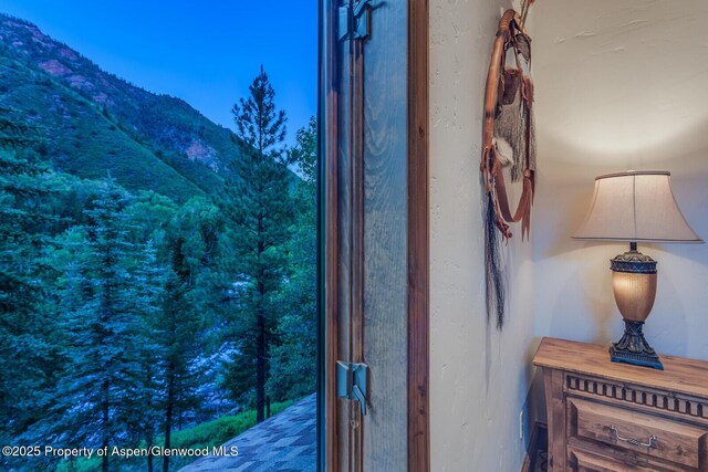 606 Dorais Way, Redstone, CO 81623 - detailed view of mountains