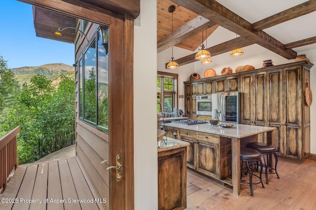 606 Dorais Way, Redstone, CO 81623 - kitchen with stainless steel appliances, light stone countertops, light wood-type flooring, pendant lighting, and a breakfast bar