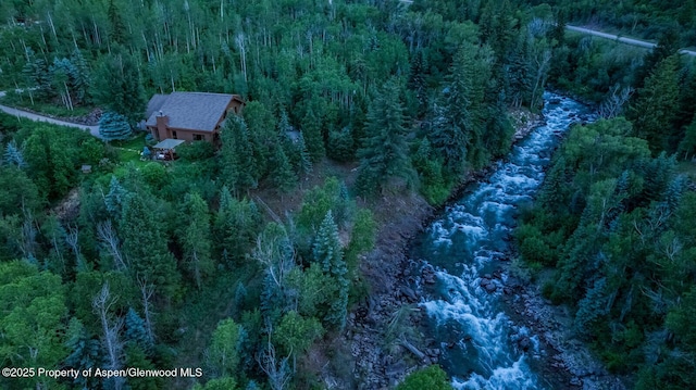 606 Dorais Way, Redstone, CO 81623 - view from above of property featuring a heavily wooded area