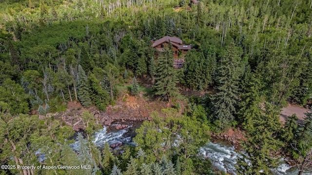 606 Dorais Way, Redstone, CO 81623 - bird's eye view of a heavily wooded area