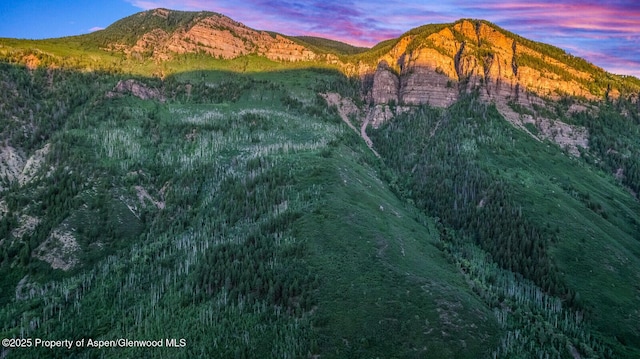 606 Dorais Way, Redstone, CO 81623 - mountain view