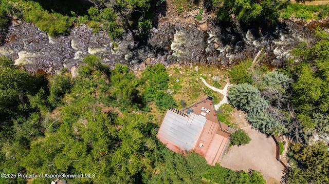 979 Queen St, Aspen, CO 81611 - view of property location