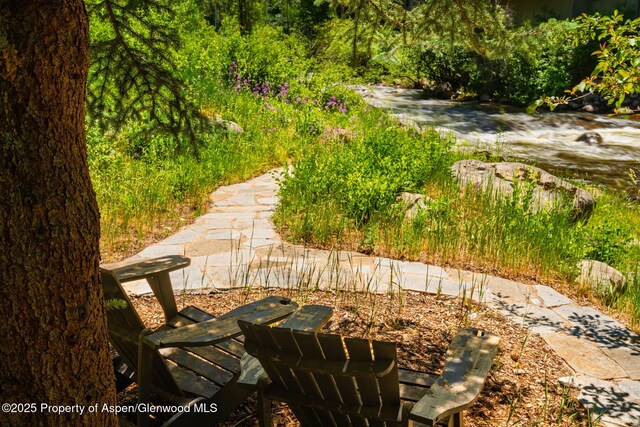979 Queen St, Aspen, CO 81611 - view of patio / terrace