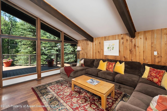979 Queen St, Aspen, CO 81611 - living area featuring plenty of natural light, wood finished floors, and wood walls