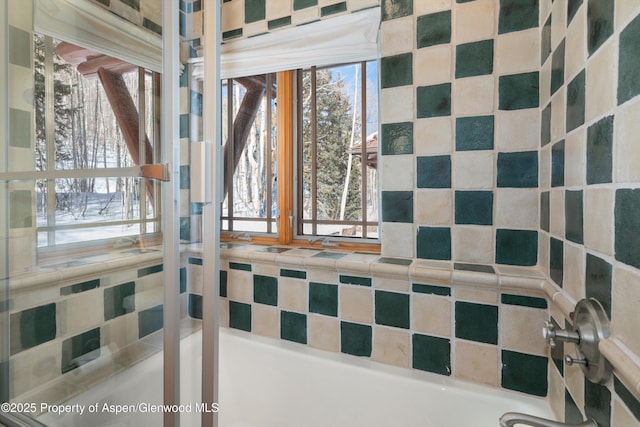 195 N Hayden Rd, Aspen, CO 81611 - photo 49