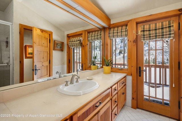 195 N Hayden Rd, Aspen, CO 81611 - photo 44