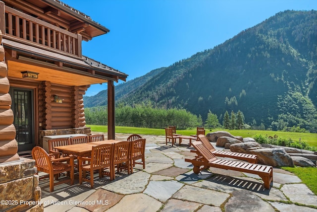 195 N Hayden Rd, Aspen, CO 81611 - photo 13
