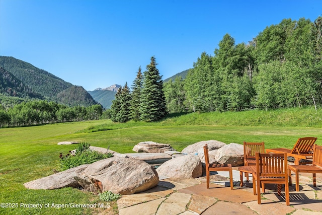 195 N Hayden Rd, Aspen, CO 81611 - photo 6