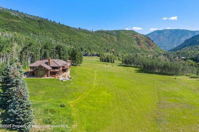 195 N Hayden Rd, Aspen, CO 81611 - photo 73