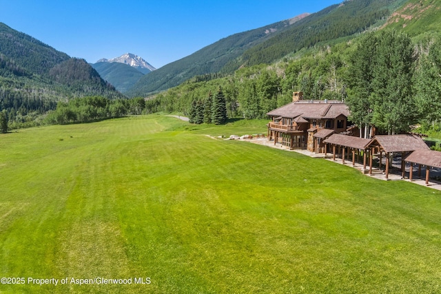 195 N Hayden Rd, Aspen, CO 81611 - photo 18