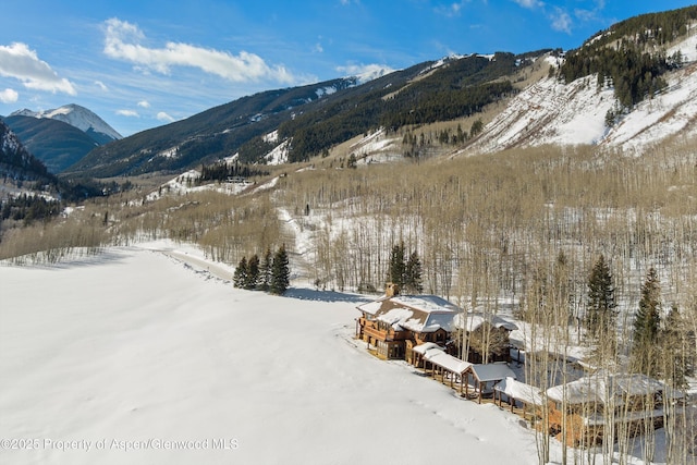 property view of mountains