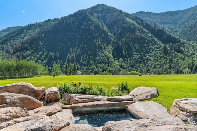 195 N Hayden Rd, Aspen, CO 81611 - photo 7