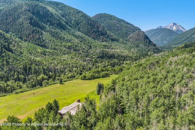 195 N Hayden Rd, Aspen, CO 81611 - photo 77