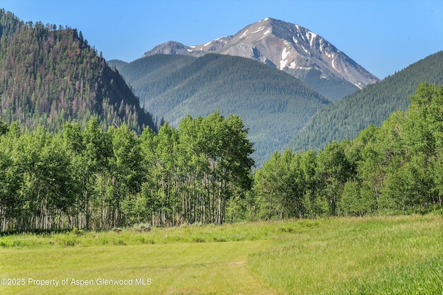 195 N Hayden Rd, Aspen, CO 81611 - photo 8