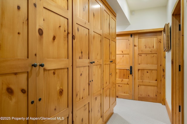 195 N Hayden Rd, Aspen, CO 81611 - photo 59