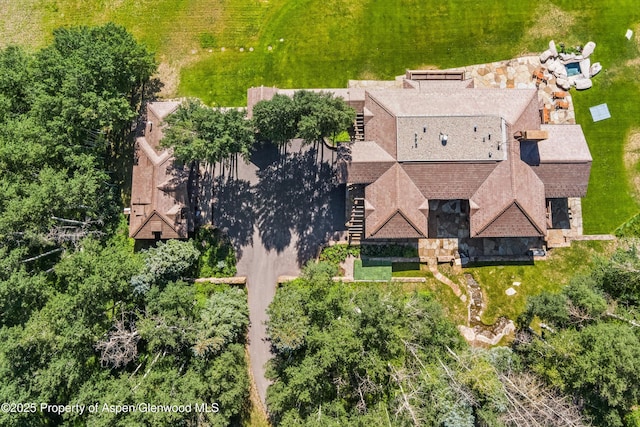 195 N Hayden Rd, Aspen, CO 81611 - photo 11
