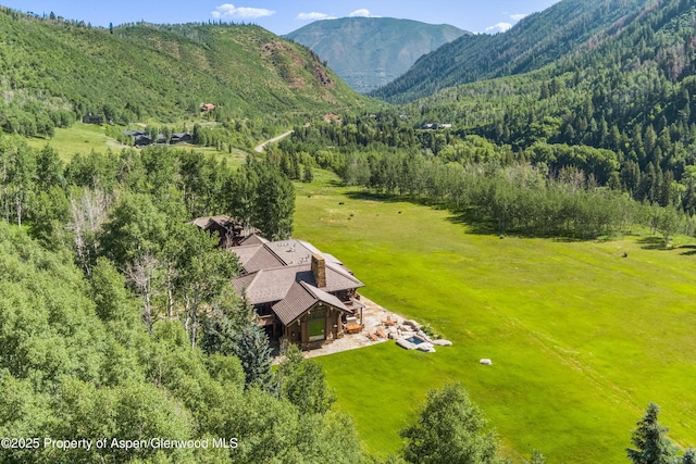 195 N Hayden Rd, Aspen, CO 81611 - photo 2