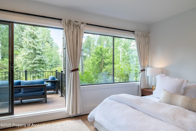 65 Harleston Grn Unit 51, Snowmass Village, CO 81615 - bedroom with multiple windows and wood finished floors