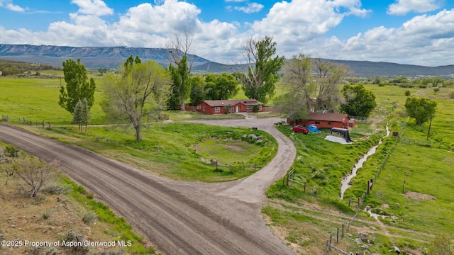 10479 50th Rd, Mesa, CO 81643 - photo 4