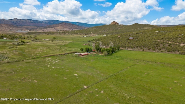 10479 50th Rd, Mesa, CO 81643 - photo 40