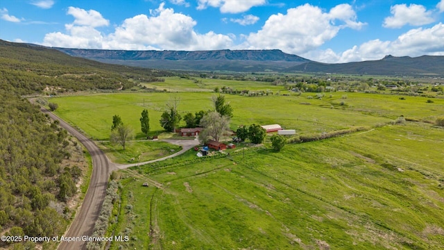 10479 50th Rd, Mesa, CO 81643 - photo 37