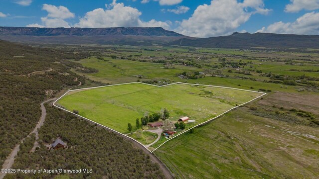 10479 50th Rd, Mesa, CO 81643 - photo 32