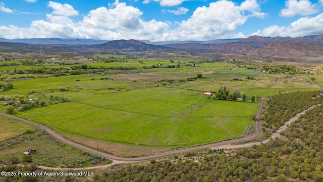 10479 50th Rd, Mesa, CO 81643 - photo 41